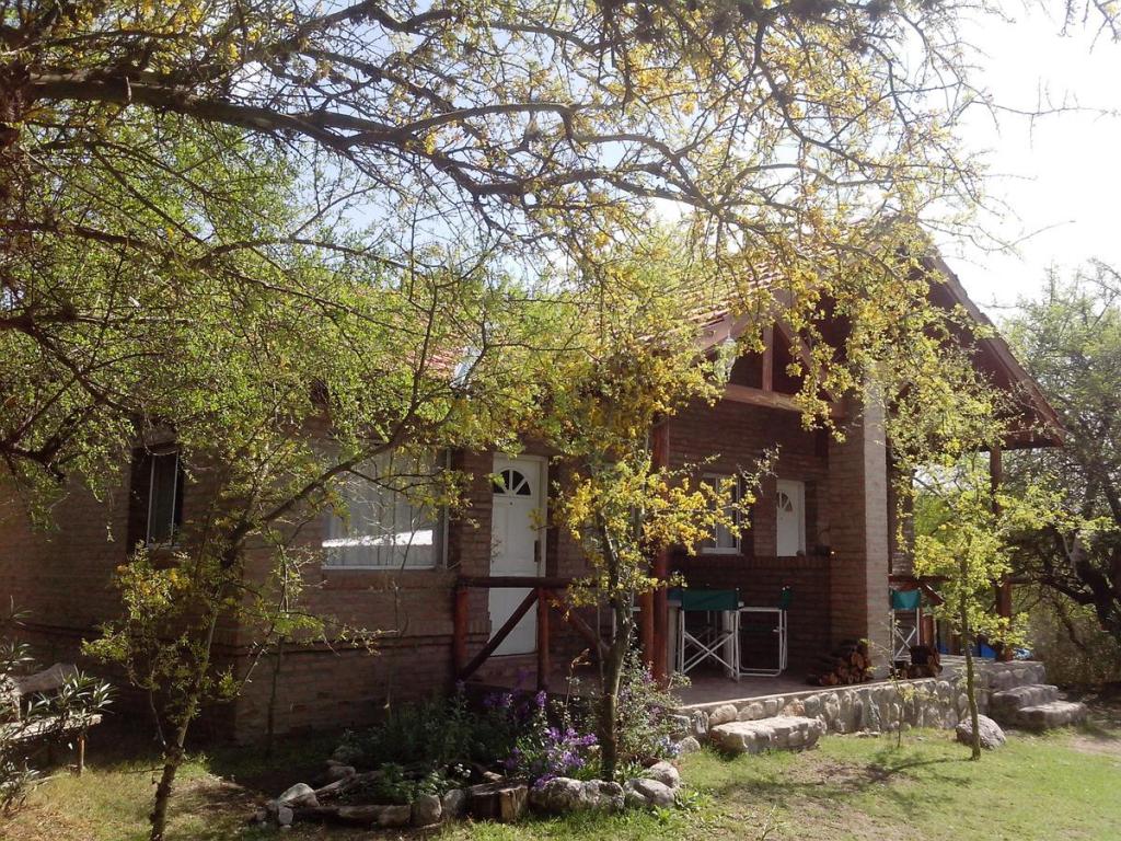 1579732982foto_principal