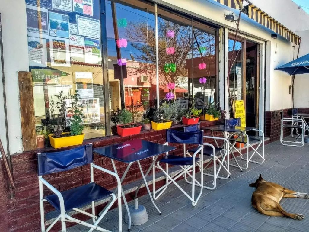 WhatsApp-Image-2025-12-15-at-15.57.00