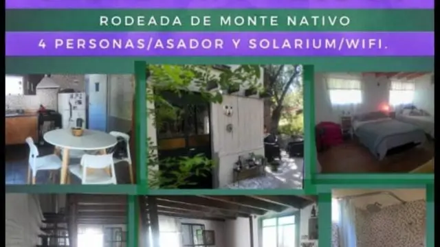 WhatsApp-Image-2026-02-20-at-09.46.48