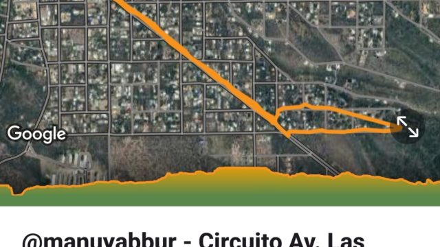 WhatsApp-Image-2026-03-25-at-17.42.06